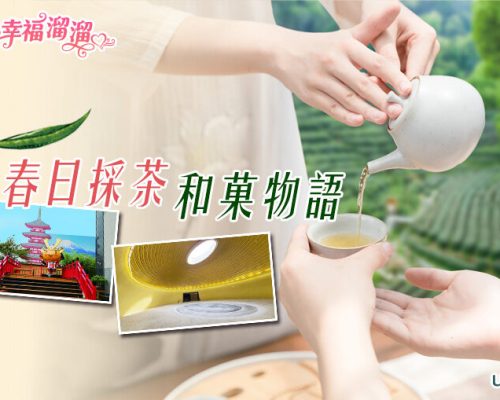 春日採茶和菓物語一日遊